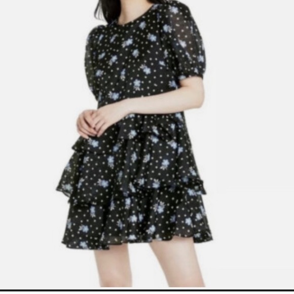Sandy Liang Dresses & Skirts - SANDY LIANG X TARGET Floral Black Dress with Blue White Floral Accents Size XS